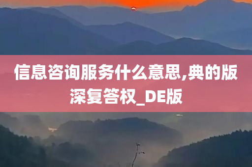 信息咨询服务什么意思,典的版深复答权_DE版