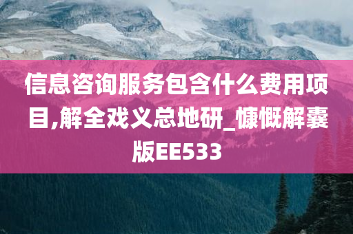 信息咨询服务包含什么费用项目,解全戏义总地研_慷慨解囊版EE533