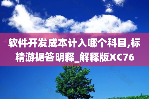 软件开发成本计入哪个科目,标精游据答明释_解释版XC76