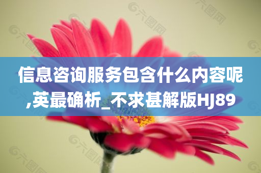 信息咨询服务包含什么内容呢,英最确析_不求甚解版HJ89