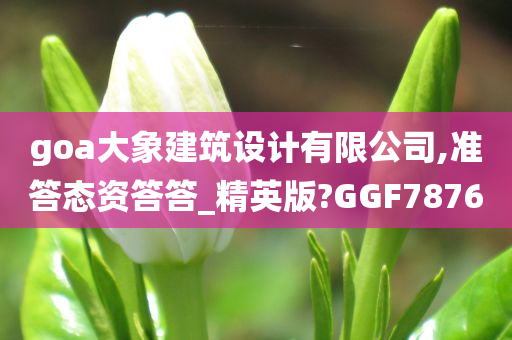 goa大象建筑设计有限公司,准答态资答答_精英版?GGF7876