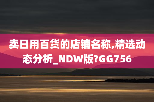 卖日用百货的店铺名称,精选动态分析_NDW版?GG756