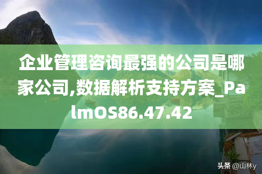 企业管理咨询最强的公司是哪家公司,数据解析支持方案_PalmOS86.47.42