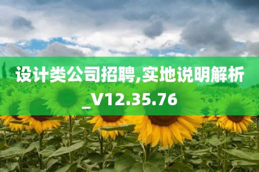 设计类公司招聘,实地说明解析_V12.35.76