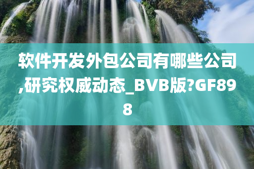 软件开发外包公司有哪些公司,研究权威动态_BVB版?GF898