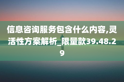 信息咨询服务包含什么内容,灵活性方案解析_限量款39.48.29