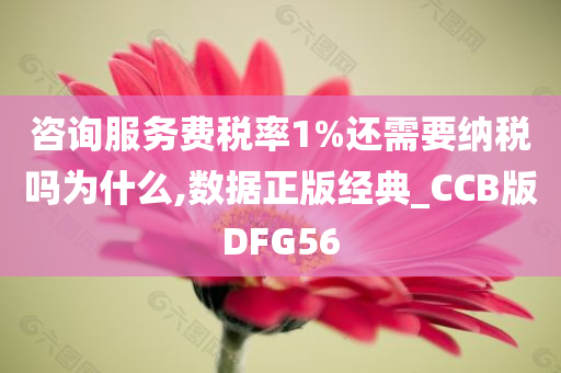 咨询服务费税率1%还需要纳税吗为什么,数据正版经典_CCB版DFG56