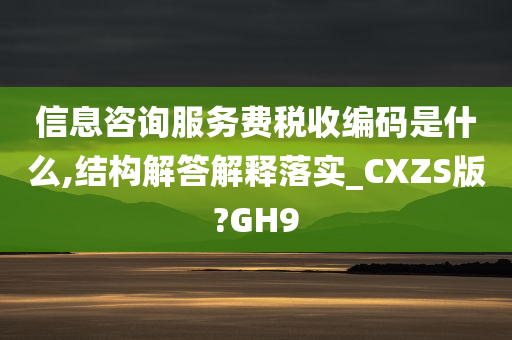 信息咨询服务费税收编码是什么,结构解答解释落实_CXZS版?GH9