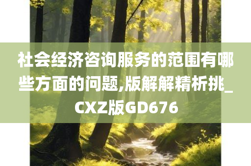 社会经济咨询服务的范围有哪些方面的问题,版解解精析挑_CXZ版GD676