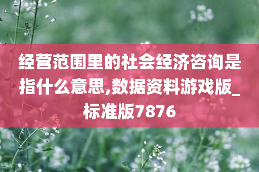 经营范围里的社会经济咨询是指什么意思,数据资料游戏版_标准版7876