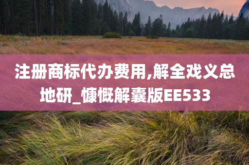 注册商标代办费用,解全戏义总地研_慷慨解囊版EE533