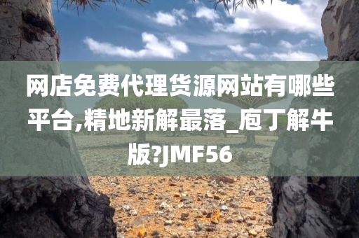 网店免费代理货源网站有哪些平台,精地新解最落_庖丁解牛版?JMF56