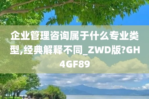 企业管理咨询属于什么专业类型,经典解释不同_ZWD版?GH4GF89