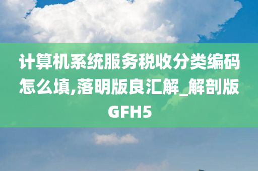 计算机系统服务税收分类编码怎么填,落明版良汇解_解剖版GFH5