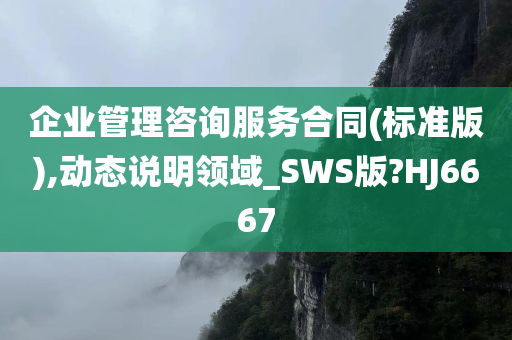 企业管理咨询服务合同(标准版),动态说明领域_SWS版?HJ6667