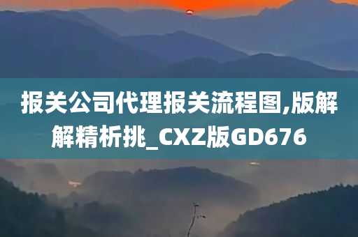 报关公司代理报关流程图,版解解精析挑_CXZ版GD676