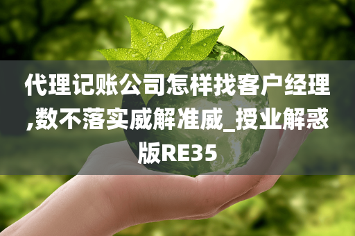 代理记账公司怎样找客户经理,数不落实威解准威_授业解惑版RE35