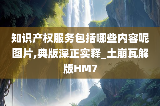 知识产权服务包括哪些内容呢图片,典版深正实释_土崩瓦解版HM7