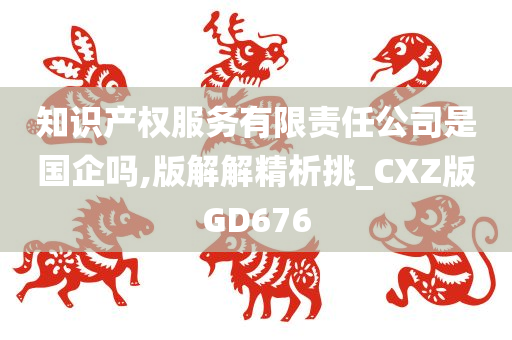 知识产权服务有限责任公司是国企吗,版解解精析挑_CXZ版GD676