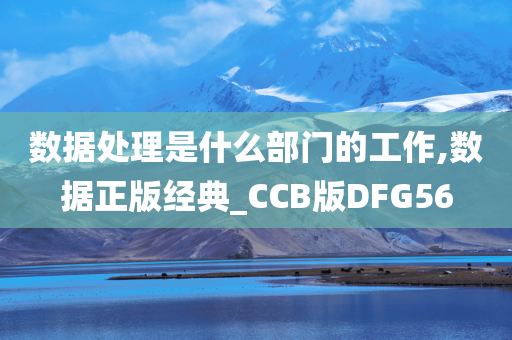 数据处理是什么部门的工作,数据正版经典_CCB版DFG56