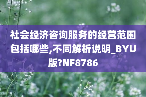 社会经济咨询服务的经营范围包括哪些,不同解析说明_BYU版?NF8786