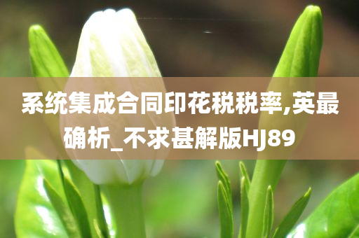 系统集成合同印花税税率,英最确析_不求甚解版HJ89