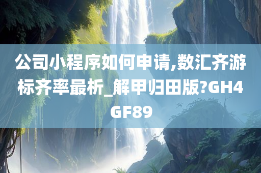 公司小程序如何申请,数汇齐游标齐率最析_解甲归田版?GH4GF89