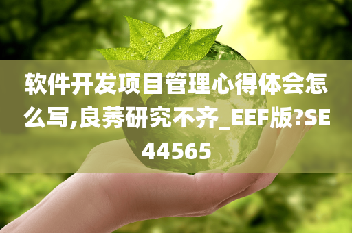 软件开发项目管理心得体会怎么写,良莠研究不齐_EEF版?SE44565