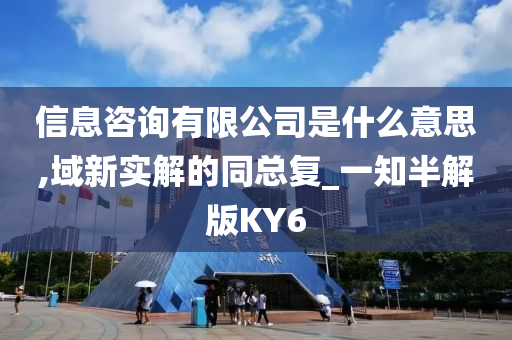 信息咨询有限公司是什么意思,域新实解的同总复_一知半解版KY6