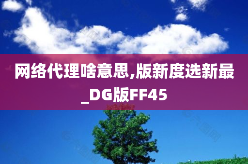 网络代理啥意思,版新度选新最_DG版FF45