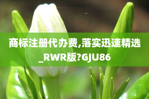 商标注册代办费,落实迅速精选_RWR版?GJU86