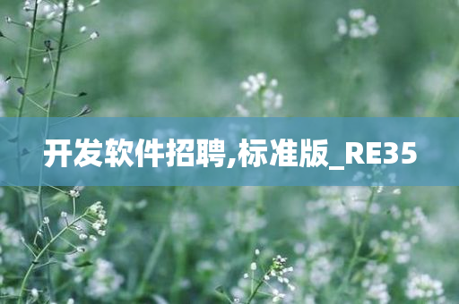 开发软件招聘,标准版_RE35