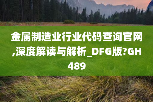 金属制造业行业代码查询官网,深度解读与解析_DFG版?GH489