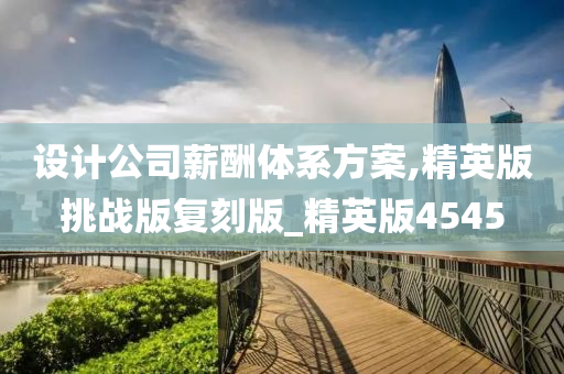 设计公司薪酬体系方案,精英版挑战版复刻版_精英版4545