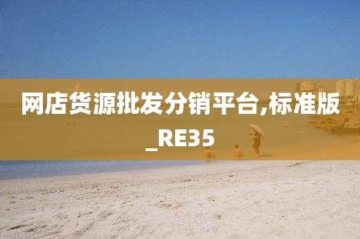 网店货源批发分销平台,标准版_RE35