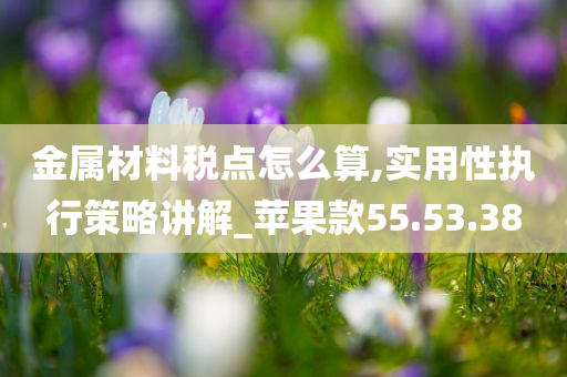 金属材料税点怎么算,实用性执行策略讲解_苹果款55.53.38