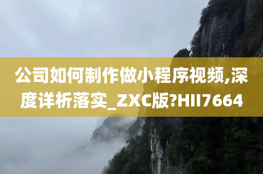 公司如何制作做小程序视频,深度详析落实_ZXC版?HII7664