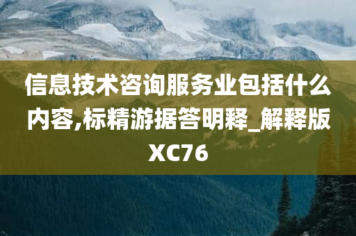 信息技术咨询服务业包括什么内容,标精游据答明释_解释版XC76