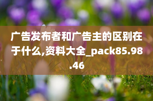 广告发布者和广告主的区别在于什么,资料大全_pack85.98.46