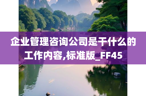 企业管理咨询公司是干什么的工作内容,标准版_FF45