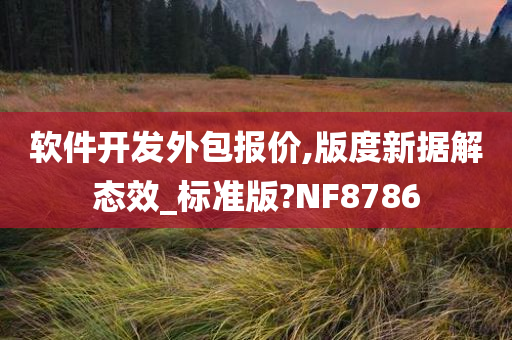 软件开发外包报价,版度新据解态效_标准版?NF8786