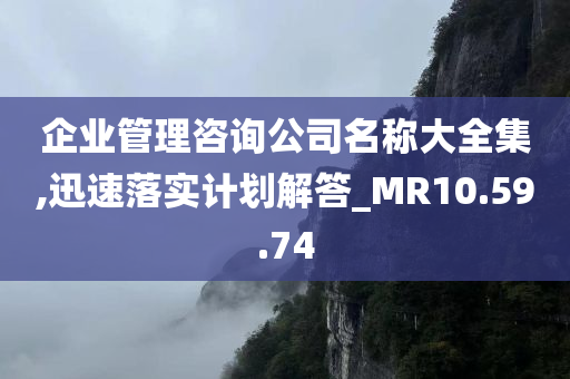 企业管理咨询公司名称大全集,迅速落实计划解答_MR10.59.74