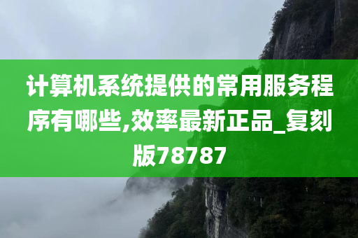 计算机系统提供的常用服务程序有哪些,效率最新正品_复刻版78787