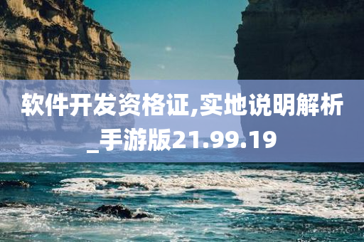 软件开发资格证,实地说明解析_手游版21.99.19