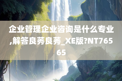 企业管理企业咨询是什么专业,解答良莠良莠_XE版?NT76565