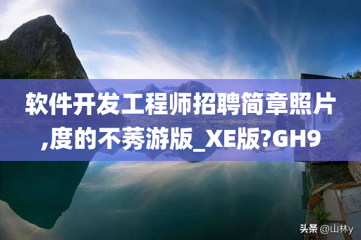 软件开发工程师招聘简章照片,度的不莠游版_XE版?GH9