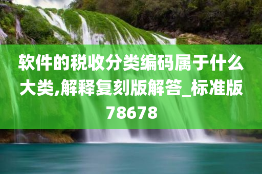 软件的税收分类编码属于什么大类,解释复刻版解答_标准版78678