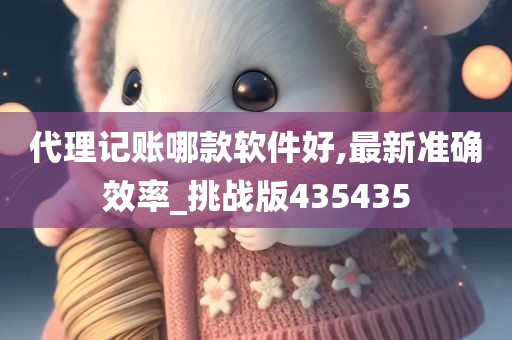 代理记账哪款软件好,最新准确效率_挑战版435435