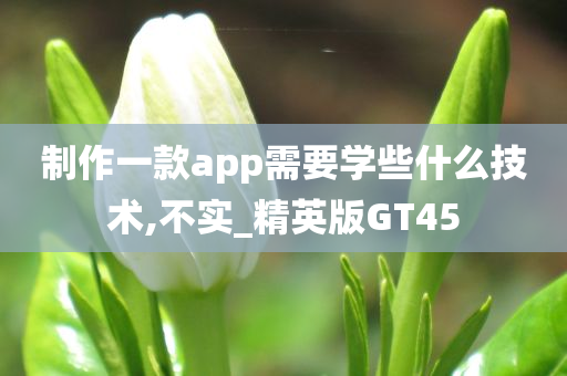 制作一款app需要学些什么技术,不实_精英版GT45