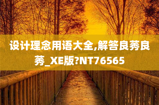 设计理念用语大全,解答良莠良莠_XE版?NT76565